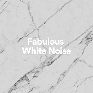 Album Fabulous White Noise from Pink Noise Babies