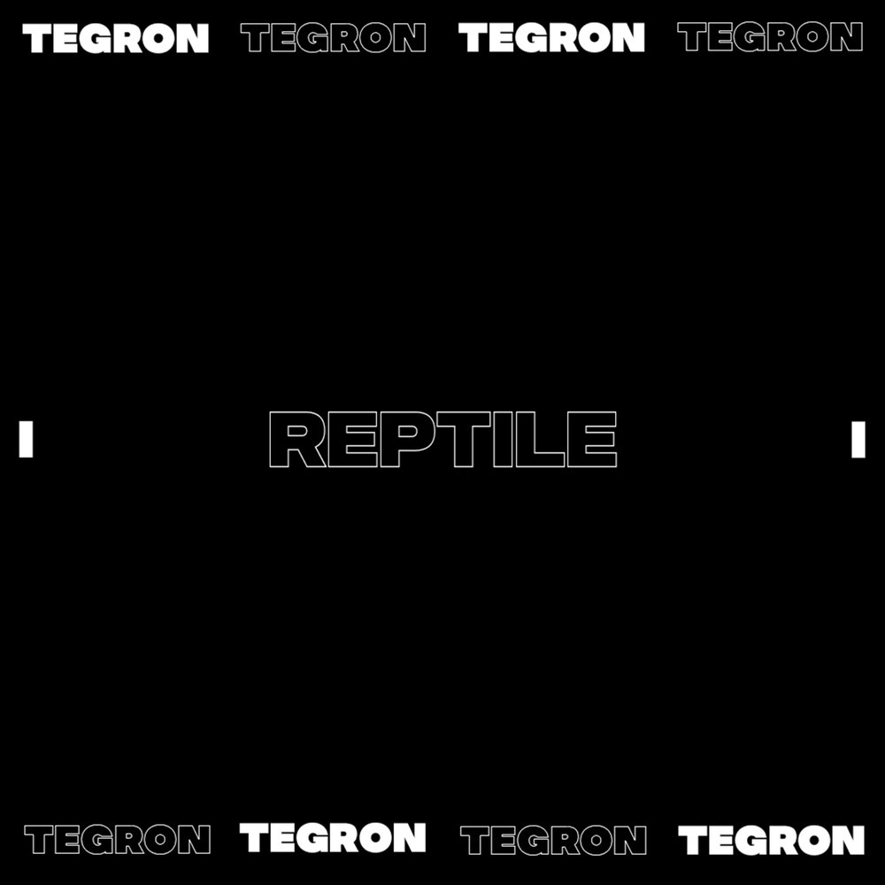 Reptile