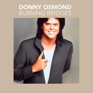 Donny Osmond的專輯Burning Bridges