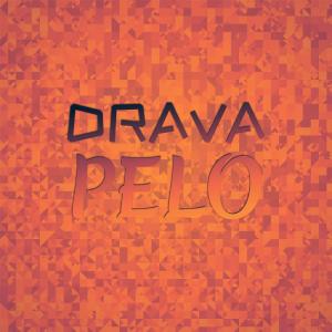 Various的专辑Drava Pelo