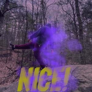 Album NICE! (Explicit) from 