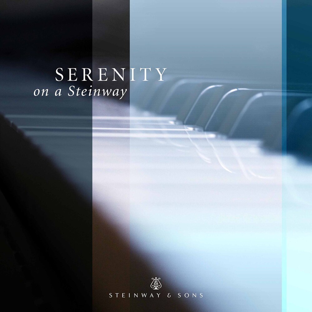 Piano Sonata No. 3 in F-Sharp Minor, Op. 23: III. Andante