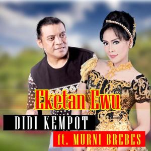 收听Didi Kempot的Eketan Ewu歌词歌曲
