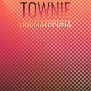 Various Artists的專輯Townie Onomatopoeia