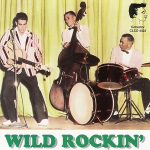 Various Artists的專輯Wild Rockin'