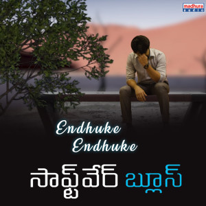 Listen to Endhuke Endhuke (From "Software Blues") song with lyrics from Ritesh