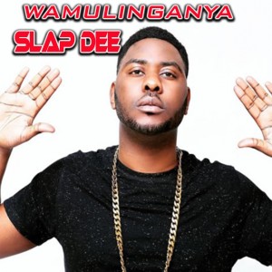 Listen to Indoors song with lyrics from Slap Dee