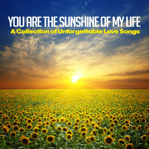 收聽Andy Rise的You Are the Sunshine of My Life歌詞歌曲