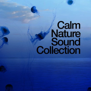 ดาวน์โหลดและฟังเพลง Water Changes พร้อมเนื้อเพลงจาก Nature Sound Collection