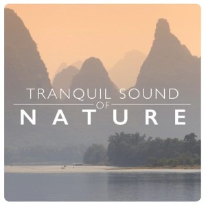 อัลบัม Tranquil Sound of Nature ศิลปิน Tranquil Music Sounds of Nature