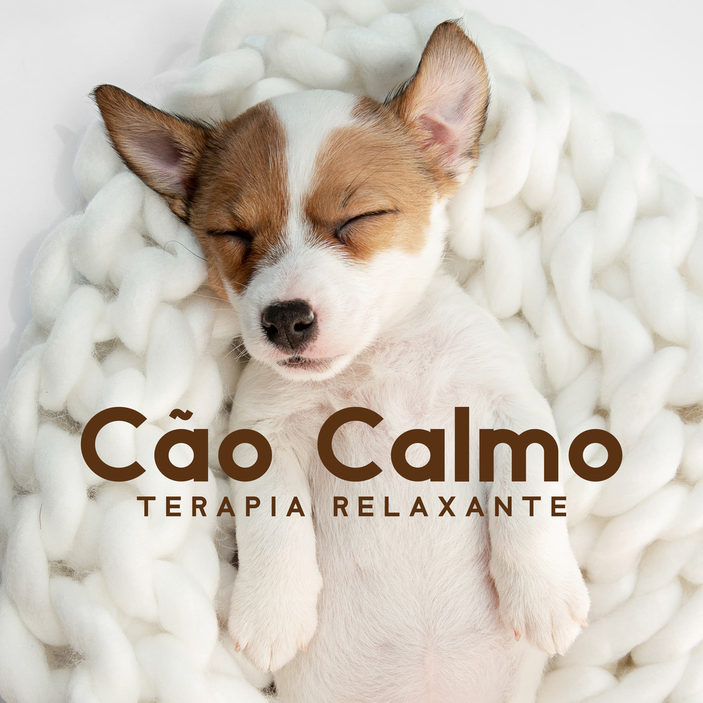 Serenity Sleep