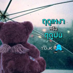Listen to ฤดูเหงาหรือฤดูฝน song with lyrics from Tom วสันต์