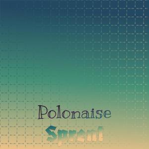 Various的专辑Polonaise Sprent
