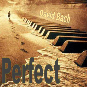 收听david bach的With or Without You歌词歌曲