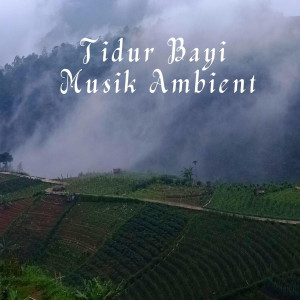 Dengarkan Ruang Rindu lagu dari Musik Bayi ID dengan lirik