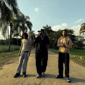 Album Trem novo (Explicit) from Avera Rec