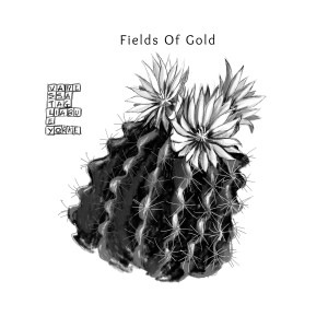 อัลบัม Fields of Gold ศิลปิน Vanessa Tagliabue Yorke