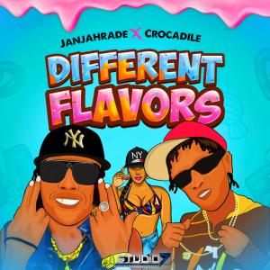 ดาวน์โหลดและฟังเพลง Different Flavors (feat. Crocadile) (Explicit) พร้อมเนื้อเพลงจาก Janjahrade