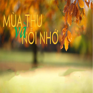 ดาวน์โหลดและฟังเพลง Ave Maria พร้อมเนื้อเพลงจาก Quang Lý
