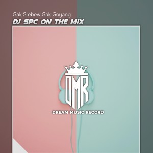 Album Gak Slebew Gak Goyang (Remix) from DJ Spc On The Mix