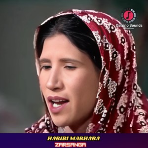 Listen to Habibi Marhaba song with lyrics from Zarsanga