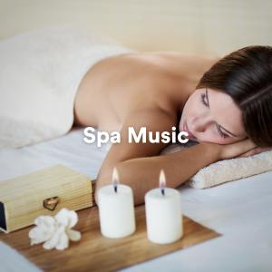 收聽SPA Music的Yoga Relaxation Music歌詞歌曲