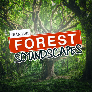 ดาวน์โหลดและฟังเพลง Riverside Birdsong พร้อมเนื้อเพลงจาก Outside Broadcast Recordings