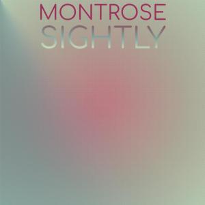 Various的专辑Montrose Sightly