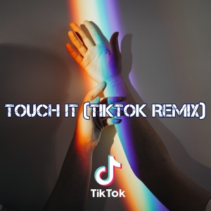 Listen to Touch it (TikTok Remix) song with lyrics from Dj TikToker Viral