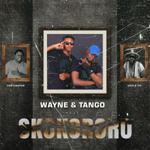 Listen to Skokororo song with lyrics from Wayne & Tango