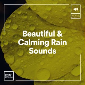 Album Beautiful & Calming Rain Sounds oleh Rain for Deep Sleep