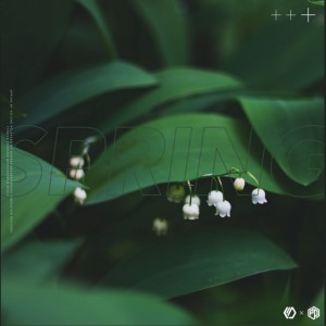 ดาวน์โหลดและฟังเพลง Spring พร้อมเนื้อเพลงจาก GADRECORDS