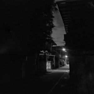 Dengarkan lagu 每个我 (Demo) nyanyian 绿绣眼 dengan lirik