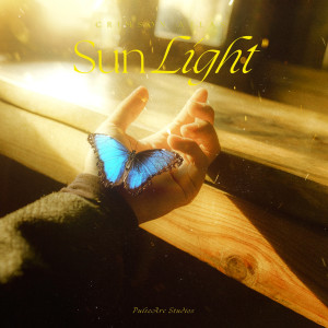 PulseArc的專輯Sun Light