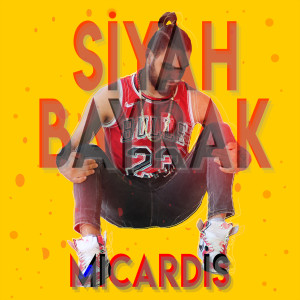 ดาวน์โหลดและฟังเพลง Siyah Bayrak (Explicit) พร้อมเนื้อเพลงจาก Micardis