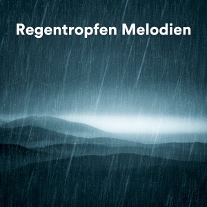 Album Regentropfen Melodien oleh Meeresrauschen
