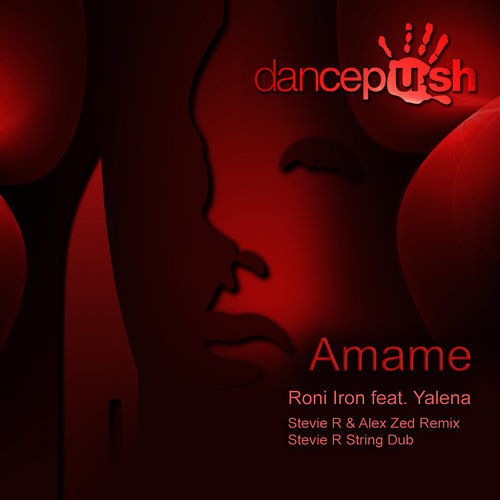 Amame (Stevie R String Dub)