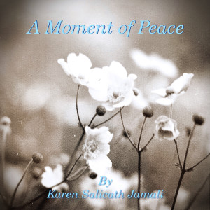 Album A Moment of Peace from Karen Salicath Jamali