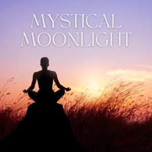 Relaxing Music For You的专辑Mystical Moonlight