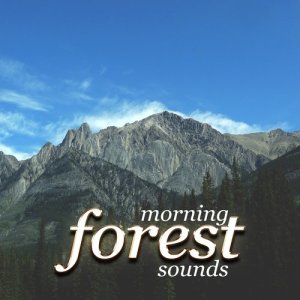Natural Forest Sounds的專輯Morning Forest Sounds
