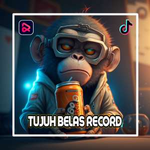 อัลบัม DJ ACEH ( INS ) ศิลปิน TUJUH BELAS RECORD