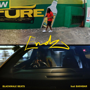 Listen to Endz song with lyrics from Blackmale Beats