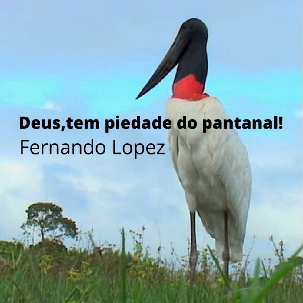 Deus, Tem Piedade do Pantanal (其他)