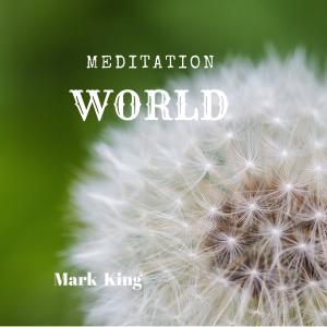 Album Meditation World from 