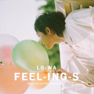 Album Feelings from 卢华