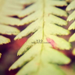 Listen to Dampness (feat. James Dobson) song with lyrics from Y 2 D