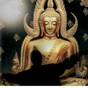 收聽J.Brigant的No te rindas歌詞歌曲