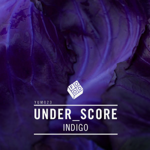 ดาวน์โหลดและฟังเพลง Indigo (Walker & Royce Vocal Remix) พร้อมเนื้อเพลงจาก Under_Score