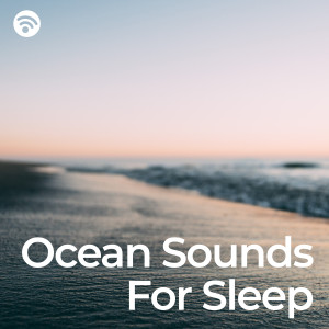 อัลบัม Ocean Sounds for Sleep: Lullaby Waves ศิลปิน Underwater Pilots