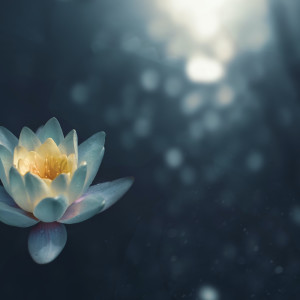 收聽Relaxing Music的River Flows In You歌詞歌曲